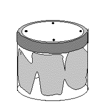 * Kulturglas 20 Tage nach Inokulation *