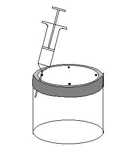 * Bild der Inokulation des Substrates *